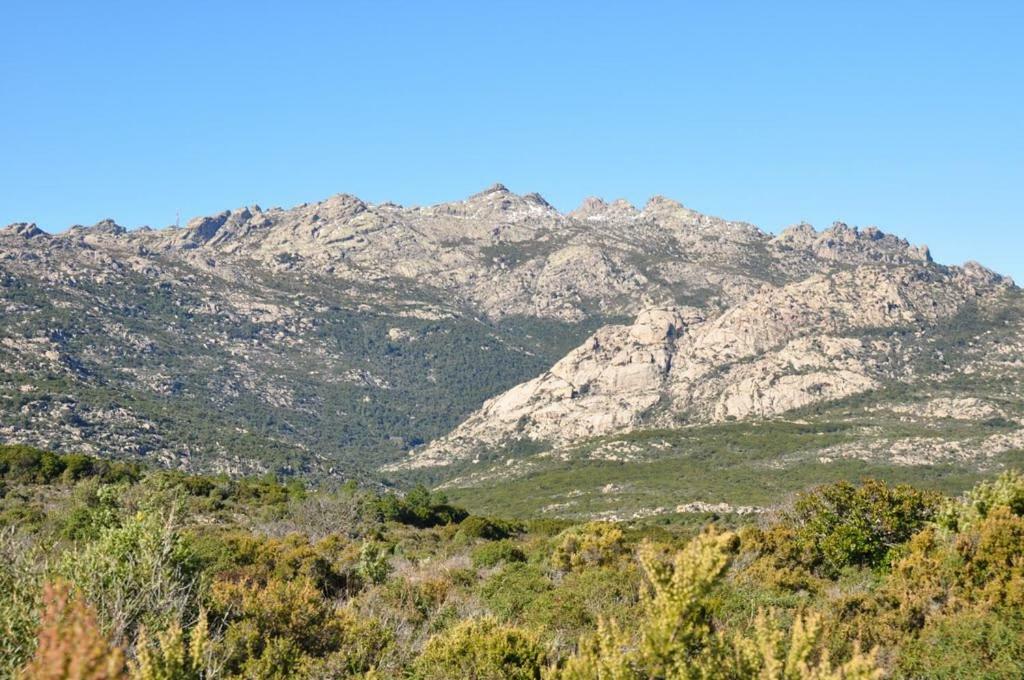 Villa Sardegna Vicino Ad Olbia "La Casa Nel Vicolo" Berchidda Exterior foto