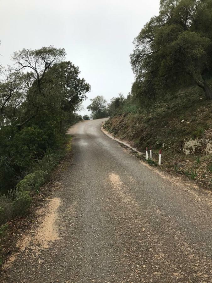 Villa Sardegna Vicino Ad Olbia "La Casa Nel Vicolo" Berchidda Exterior foto