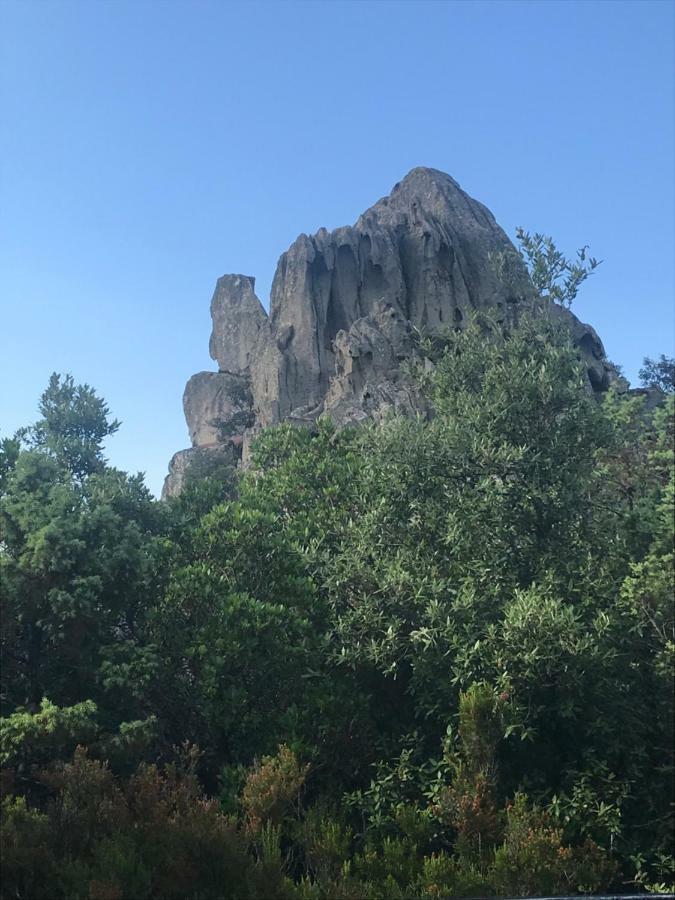 Villa Sardegna Vicino Ad Olbia "La Casa Nel Vicolo" Berchidda Exterior foto